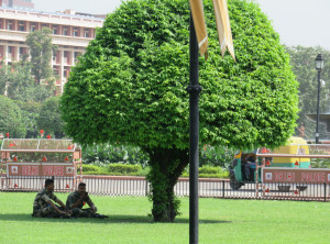 Rashtrapati Bhawan (President House) Rashtrapati Bhawan (President House)