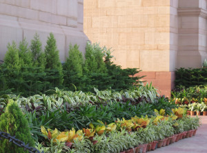 India Gate India Gate