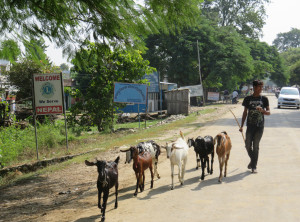 Fußmarsch über die Grenze