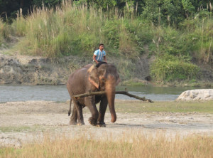 Elephant Breeding Center