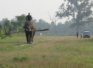 Elephant Breeding Center