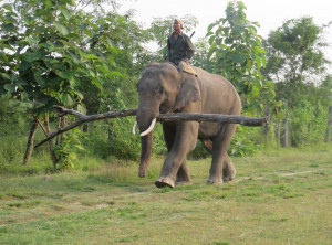 Elephant Breeding Center