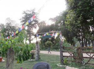 Sunsetview Cafe & Jungle Bar