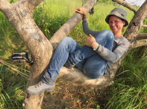 Versteck im Baum auf dem Dschungewalk