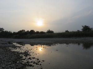 Sonnenuntergang auf dem Dschungelwalk