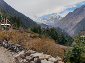 7ccbdea58ea7af8966c5ecdf201c8e89032ccdc90fa7bdbe17a97c706351c5e4