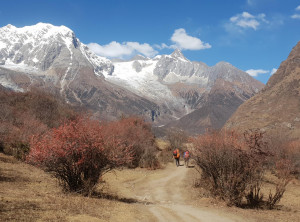 ce2062b4c197b854bb10f6b12b592b435e6330adfa59847b616fc6b8b6b026f2