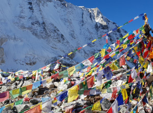 4d5917ceaaa7f691bc8bdefcdc1e9505bace63f127625b02e8f47b38b71e0ccd