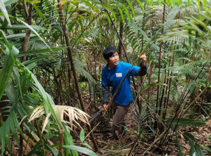 8b0889ba0921137fa11efb99a9567cb023027b111c7b925de4daf23df860124a