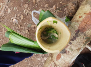 51dc4ba3609991b75f2fd9fb7dbd4e0e74c8709b7a97efc240b690a1d75db15b