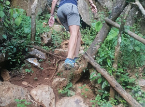 7afd5bc6f45cfaeecdc94bdc5d8a7546d7d04c676fb7ff94c354f84ceb4274b0