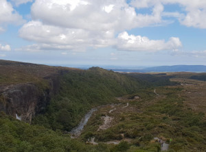 cc4b27faa717897a988447ba746788a4c13b84e910dbc529dfbe8fe5520730a8