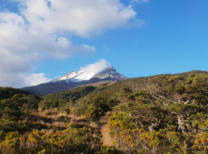 bfa5b6b180fa55cad68ac784738aa111ff2cd72c6e4873db72d754bb1b7dde79