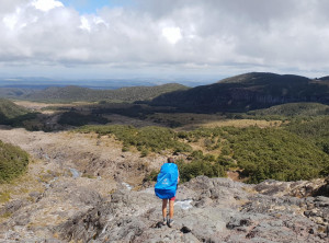 a5e8ee225a3a3ad46e02ca62b319613ea3ff3da995fe4b61235e2aa3f9496f85