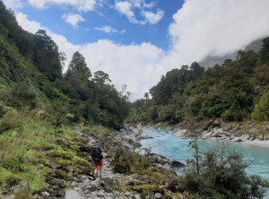 a9e940f366c011d6fd7770c4732fe27a6e7009add7948e6f11c26eeac8477e74