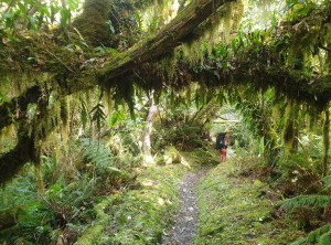 57b086f48c374f55538b49e068e3882a774e1a9d45ceade3c98274e5f908ecaa