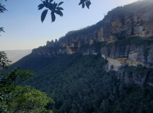 71ec57cb0e5ef2efcf7ca5dd015ebc73069f4fd180cab16c71918177203e460d