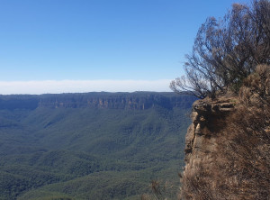 d037ce851b2d7ba975f06003ecfaebe830a027c945891dfd1d7a920795dcca37