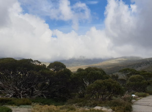 3909bad9d8e0228018dbfa26b7b237e88a2c5df9138de51dc18e31015c0017f8