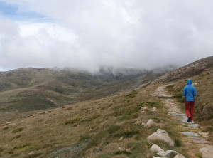 36967c164c0f046ffdaa05fd474ba27098c8e6d437f7831ad8cdfdc177002b1d