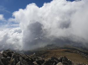 98ff4556ed254063e1f9cea8afbeddfd13e60f92ccfe78ba01a82080e2586b59