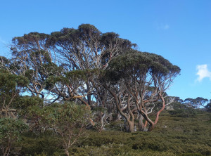 94662a5bf0d9583c87b63c58ed43b675eacdb1ee4ceb7ae2b70ea6b746e989ac