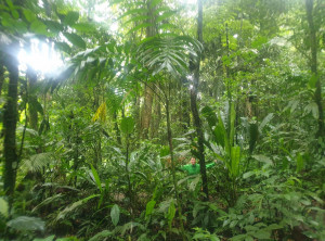 74b9fd002d2ccc44139ead5f6d8f5ec95aece6942411c0ee08870b99e7ddc9d8