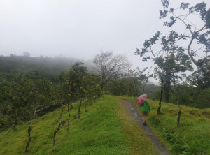 bbd7335f03ba10e79431ad212477ae381fe9e72e270e9c9eb66f916ad80ac98c