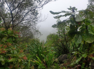 ffbf140b2ce1e27645d1dc9c0a0e91266f236b5b9f5a7d65446bf7c55333ead7