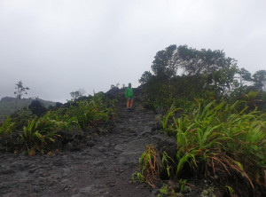 f1d634d528a8b9943d4c8d7e55a65d889de170be1f10e99609e69909ef4e0fac