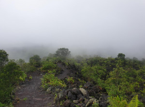 01931721b0c2dedbed4ac07e543ade8e94a6c2e41e779c0623b0bc5db48fe1f2