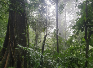 55bccf2063f5b52368029a37fbc3385b1fa4c92ccb8435662c93a5383f0d143c