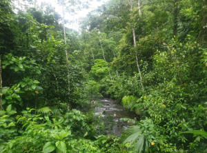 68ba0d3c277b91b3ec4e3e9e3a0c9ec01f98e307a7f57e5bf198ac719712cc49