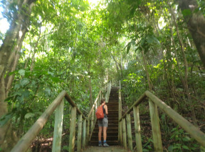 dceedf3052d8a8fd9c381e0b696ce4fc525ea16d147b1caa908d84ecb11c716f