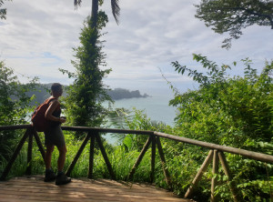 6a37d8f5ef5031452bff1dd177d70f140ec3e6227e3f6ccddc029ebeae034425