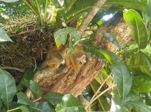 5471be832cee7dfb0471d2197c4dd820444e99bc360c5e4e5b57f7ccb5a4365a