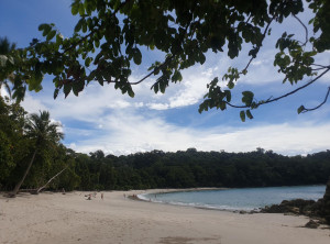 c2dcaa234a225d12eb0f82243891b25ba1cbb3119308a2ecf045365cced36419