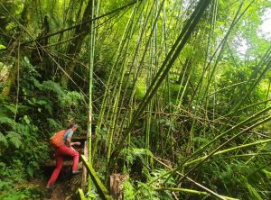 c6ae95fb9768bcf377b23cb48f463832d72772240e7c6da20f9b691fcc8b5388