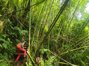 c6ae95fb9768bcf377b23cb48f463832d72772240e7c6da20f9b691fcc8b5388