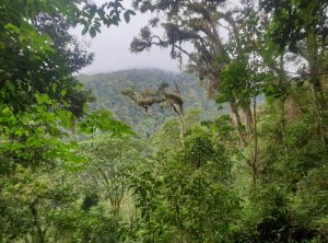 068c3f9e64eaa31e2eedd5d61f332ba10d3b4b249c5bd0c5adc78c99028f0357