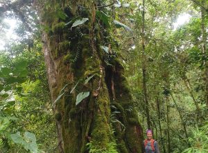 a6d2d238a2c4ef3a60b2926bb8f86716f9dc6c8954aefb76cdf81a18d43f5247