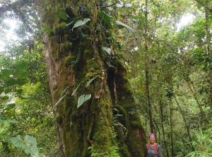 a6d2d238a2c4ef3a60b2926bb8f86716f9dc6c8954aefb76cdf81a18d43f5247