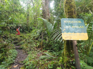 be1b3d75ed07a20c4fee0de41c7b6eabcda9ba2848980d1a7c8019add2ff0acb