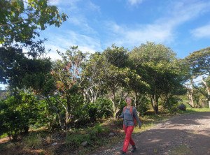 69315f333056ad1ce93dcc9ced875a404f24b562fabbdbd5ad531ac29ea77c7b