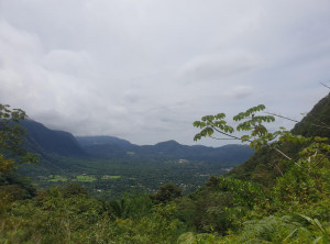 e69bf2d431ddacf04b19067a7d7d32afc7aa38c84499ed1ca0cb7a440ced6efb